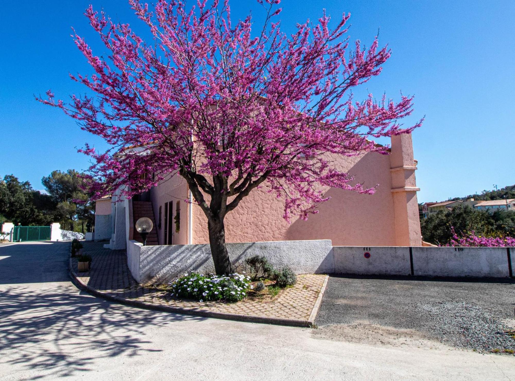 Vacances Familiales Dans Camping Avec Piscine Fréjus Habitación foto